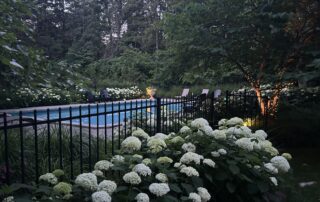 image1 (1)